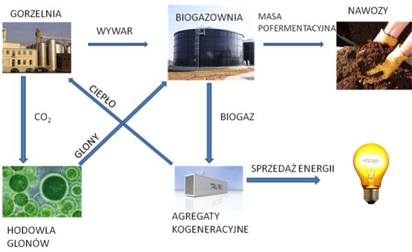 Schemat Trzebiechw