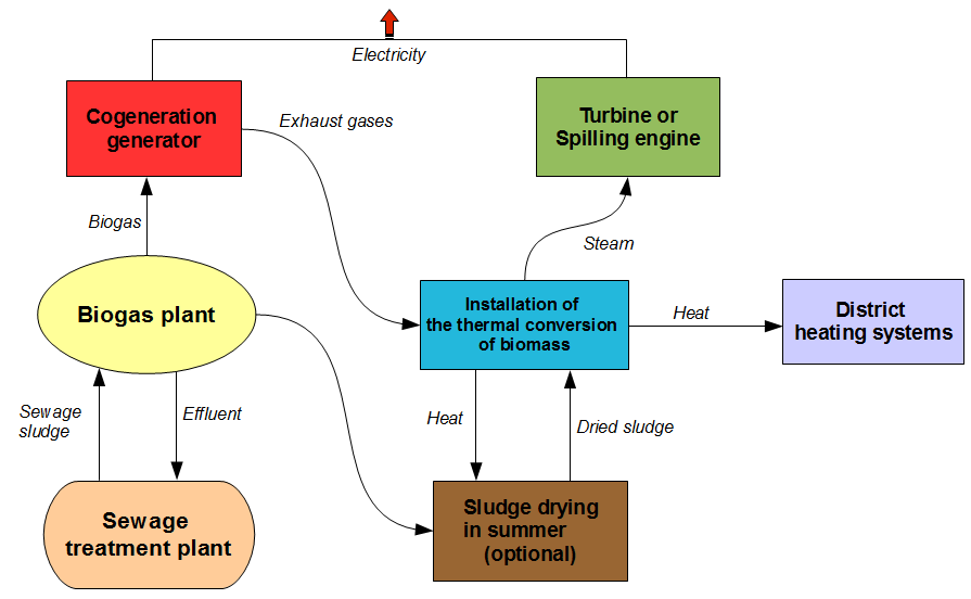 Schematic of Wrzenia